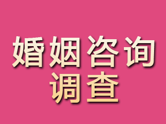 宁安婚姻咨询调查